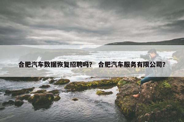 合肥汽车数据恢复招聘吗？ 合肥汽车服务有限公司？