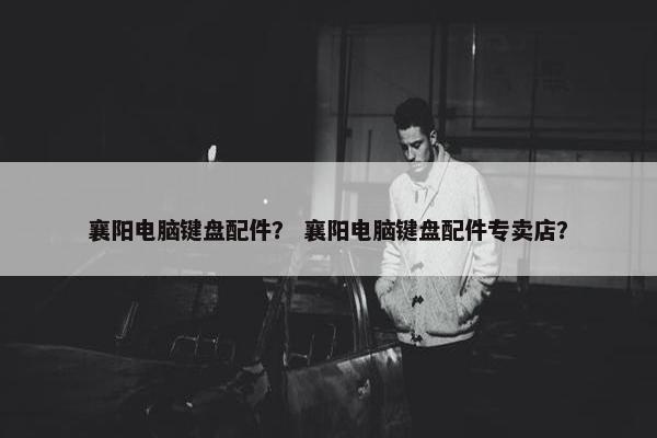 襄阳电脑键盘配件？ 襄阳电脑键盘配件专卖店？