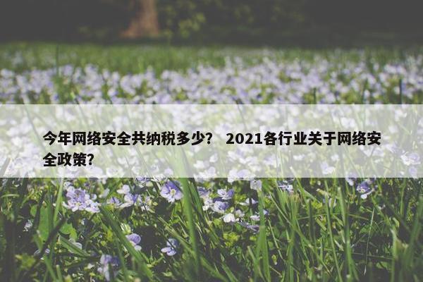 今年网络安全共纳税多少？ 2021各行业关于网络安全政策？