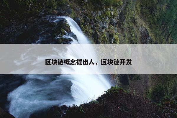区块链概念提出人，区块链开发