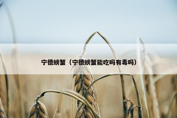 宁德螃蟹（宁德螃蟹能吃吗有毒吗）