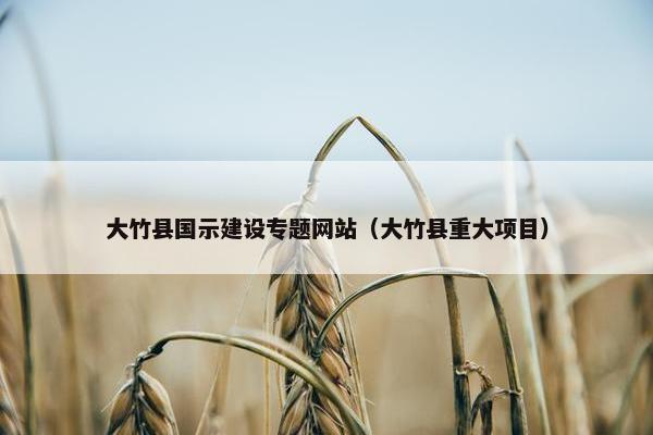 大竹县国示建设专题网站（大竹县重大项目）