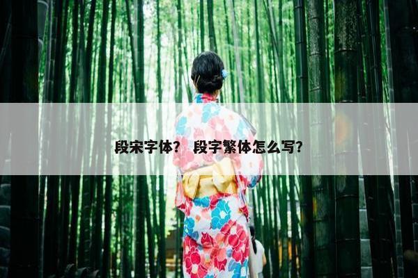 段宋字体？ 段字繁体怎么写？