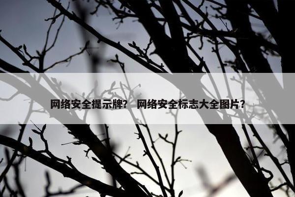 网络安全提示牌？ 网络安全标志大全图片？