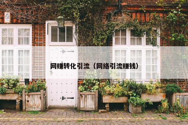网赚转化引流（网络引流赚钱）