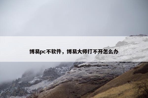 博易pc不软件，博易大师打不开怎么办
