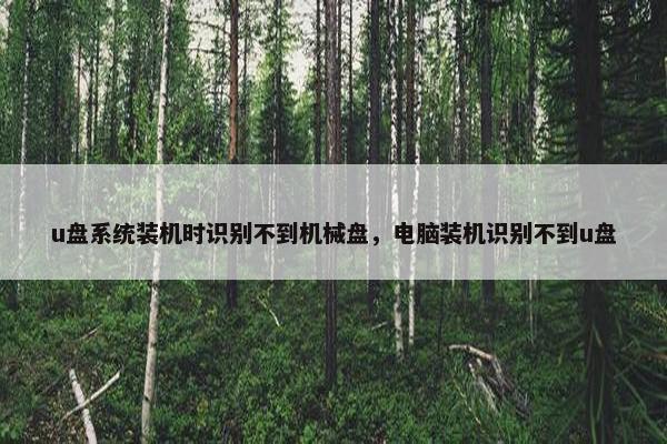u盘系统装机时识别不到机械盘，电脑装机识别不到u盘