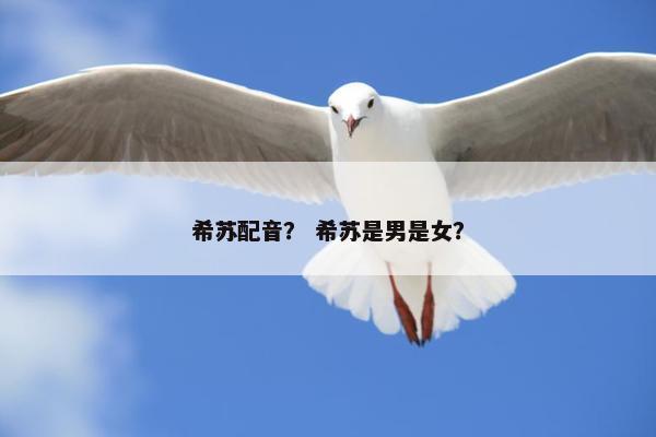 希苏配音？ 希苏是男是女？