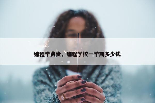 编程学费贵，编程学校一学期多少钱
