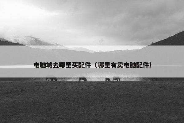电脑城去哪里买配件（哪里有卖电脑配件）