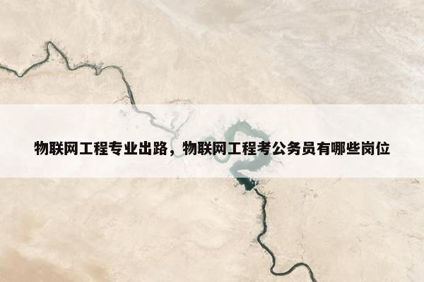 物联网工程专业出路，物联网工程考公务员有哪些岗位