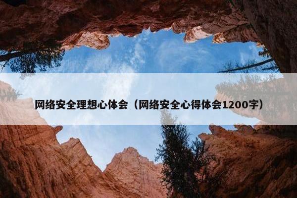网络安全理想心体会（网络安全心得体会1200字）
