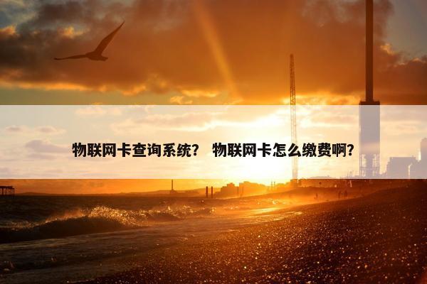 物联网卡查询系统？ 物联网卡怎么缴费啊？