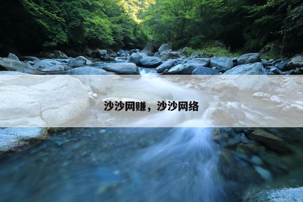沙沙网赚，沙沙网络