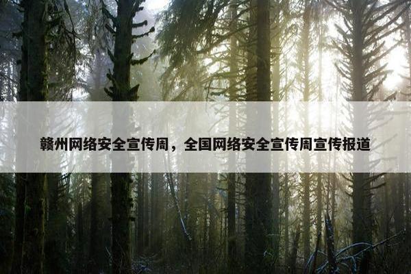 赣州网络安全宣传周，全国网络安全宣传周宣传报道