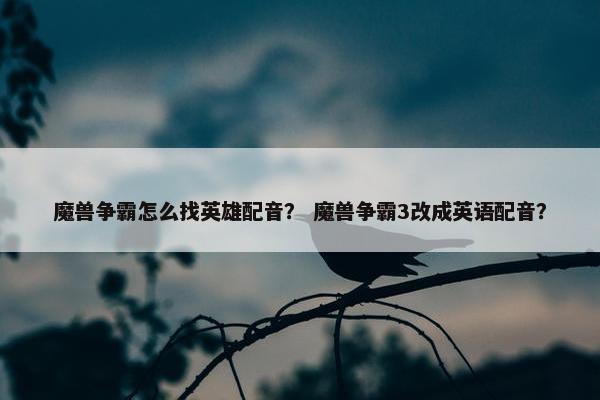 魔兽争霸怎么找英雄配音？ 魔兽争霸3改成英语配音？