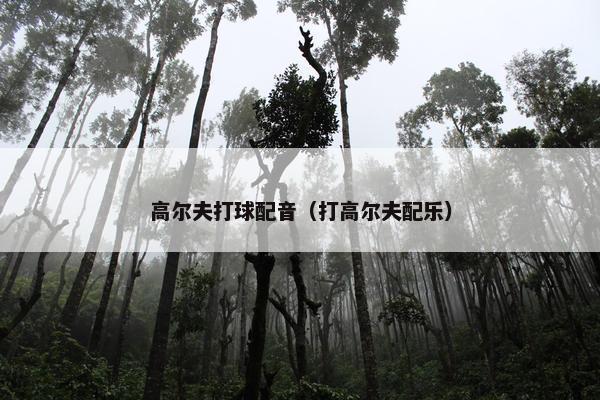 高尔夫打球配音（打高尔夫配乐）