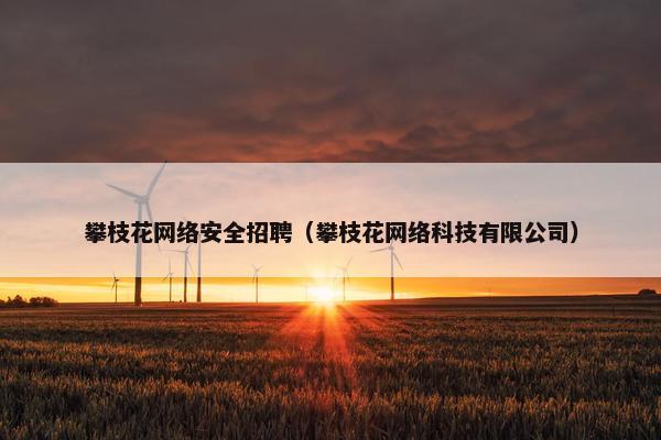 攀枝花网络安全招聘（攀枝花网络科技有限公司）