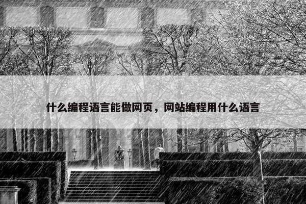 什么编程语言能做网页，网站编程用什么语言