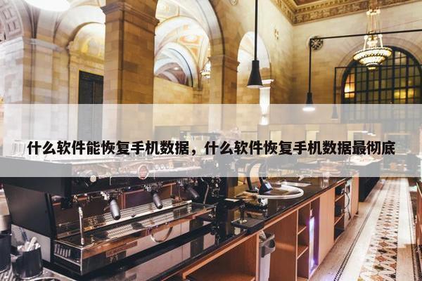 什么软件能恢复手机数据，什么软件恢复手机数据最彻底