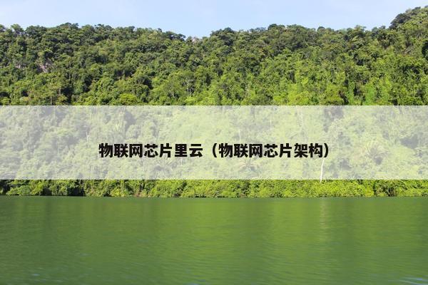 物联网芯片里云（物联网芯片架构）