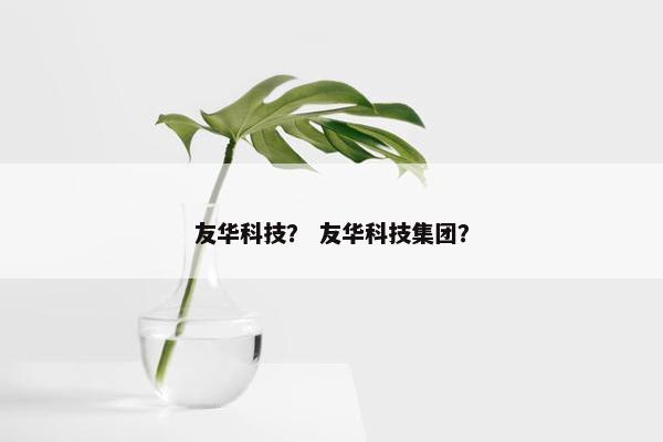 友华科技？ 友华科技集团？