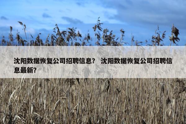沈阳数据恢复公司招聘信息？ 沈阳数据恢复公司招聘信息最新？