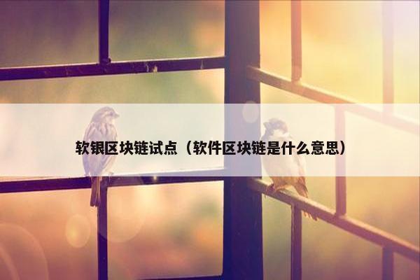 软银区块链试点（软件区块链是什么意思）