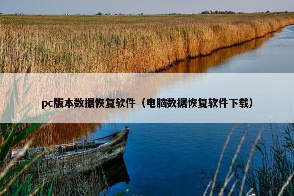 pc版本数据恢复软件（电脑数据恢复软件下载）