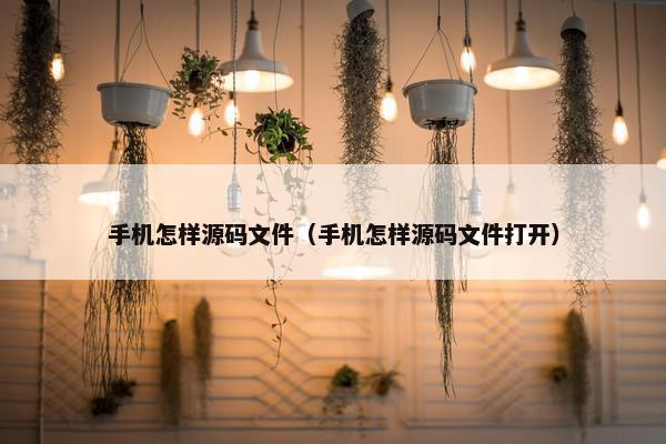 手机怎样源码文件（手机怎样源码文件打开）