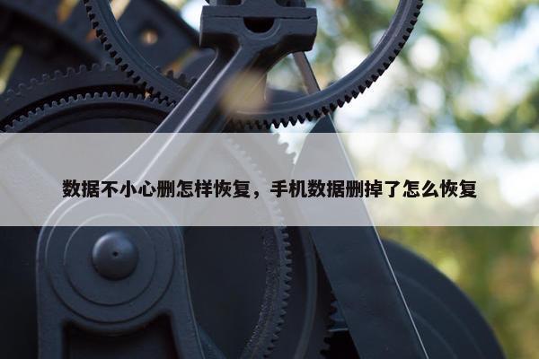 数据不小心删怎样恢复，手机数据删掉了怎么恢复