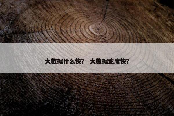 大数据什么快？ 大数据速度快？