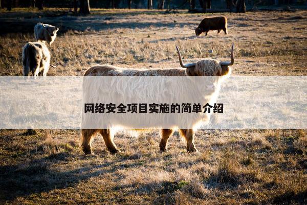 网络安全项目实施的简单介绍