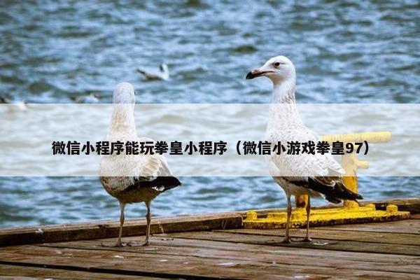 微信小程序能玩拳皇小程序（微信小游戏拳皇97）
