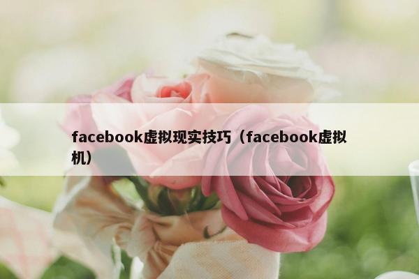facebook虚拟现实技巧（facebook虚拟机）