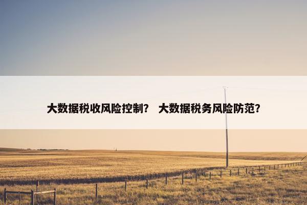大数据税收风险控制？ 大数据税务风险防范？