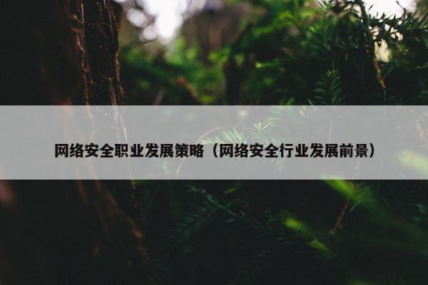 网络安全职业发展策略（网络安全行业发展前景）