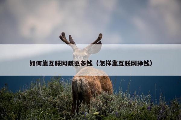 如何靠互联网赚更多钱（怎样靠互联网挣钱）