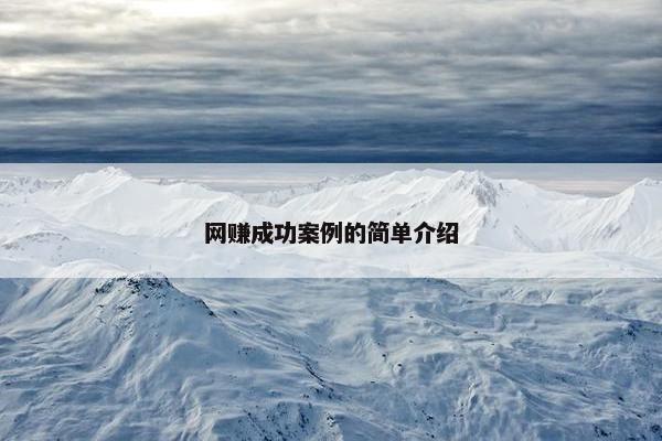 网赚成功案例的简单介绍