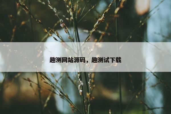 趣测网站源码，趣测试下载
