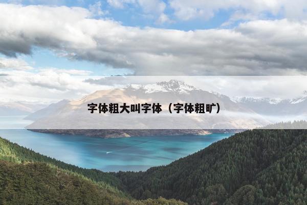 字体粗大叫字体（字体粗旷）