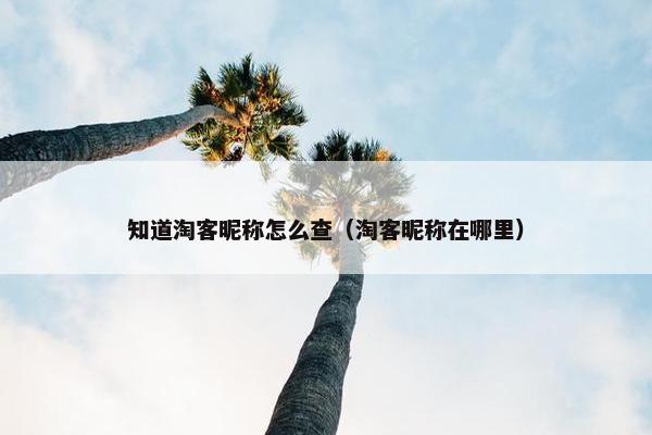 知道淘客昵称怎么查（淘客昵称在哪里）