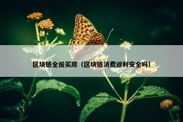 区块链全反买房（区块链消费返利安全吗）