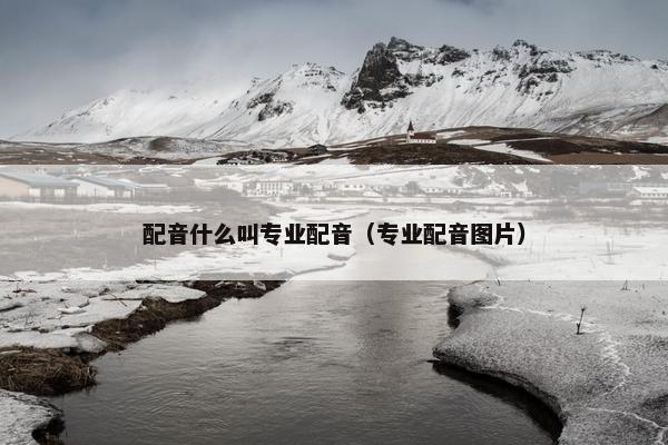 配音什么叫专业配音（专业配音图片）