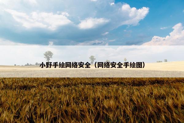 小野手绘网络安全（网络安全手绘图）