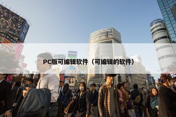 PC版可编辑软件（可编辑的软件）