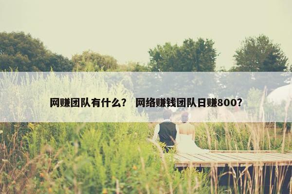 网赚团队有什么？ 网络赚钱团队日赚800？