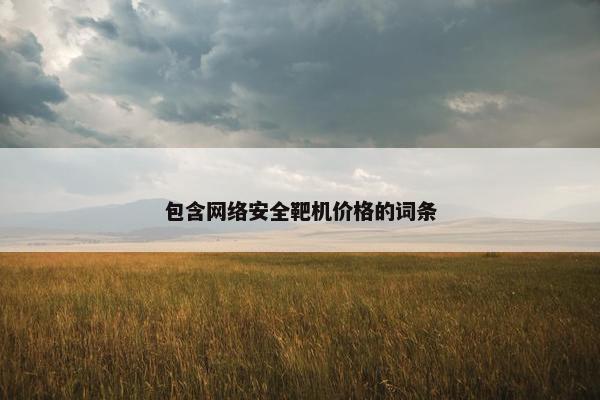 包含网络安全靶机价格的词条