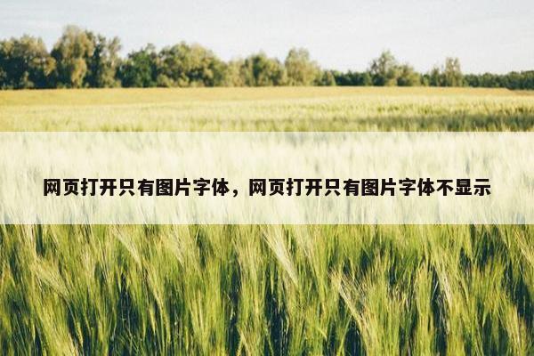 网页打开只有图片字体，网页打开只有图片字体不显示