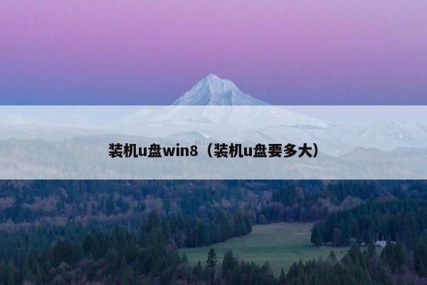 装机u盘win8（装机u盘要多大）